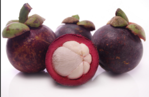 Read more about the article Knowing Garcinia Cambogia Extract More