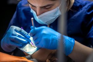 Read more about the article How Peak Surg Wound Care Provides Advanced Healing for Chronic and Acute Wounds